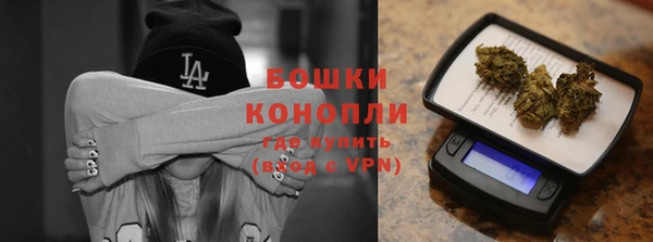 молекула духа Мегион