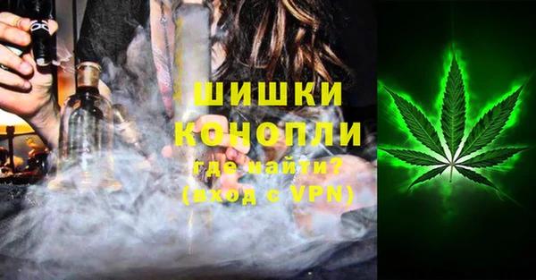 молекула духа Мегион
